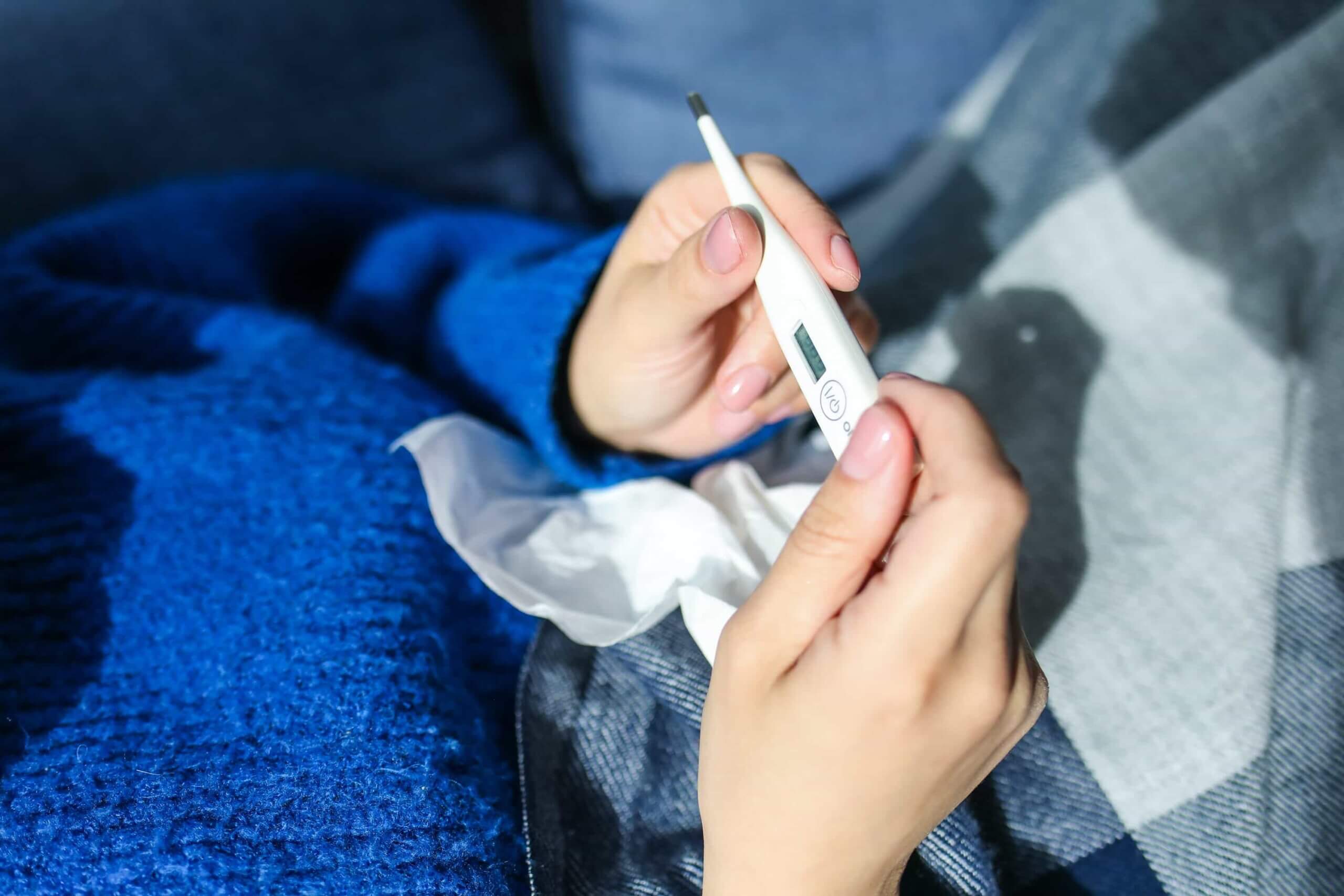 what are influenza type a flu and type b flu